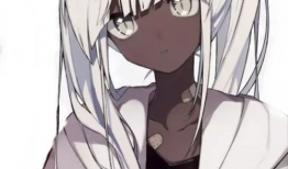 黑皮动漫,青春热血，梦想启航的动漫世界